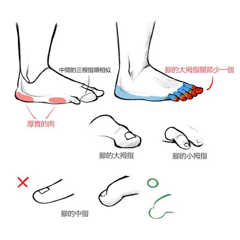 頂腳|頂腳終結者：必學技巧